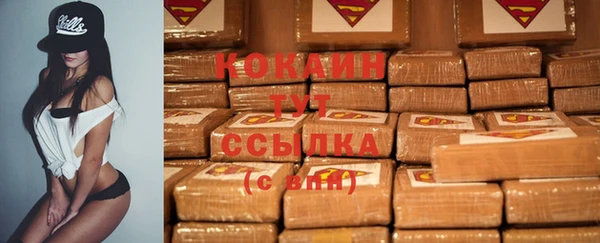 стаф Белокуриха