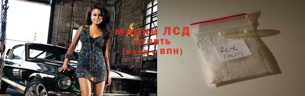 стаф Белокуриха