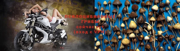 марки nbome Беломорск