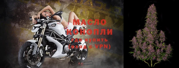 дмт Богданович