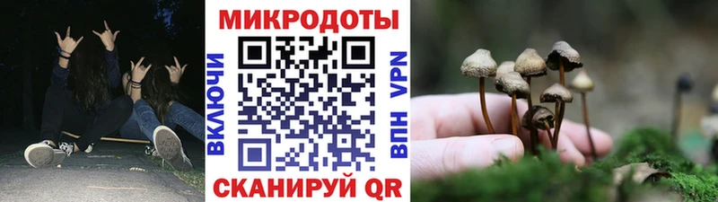 Псилоцибиновые грибы Cubensis  Купить  Ясный 